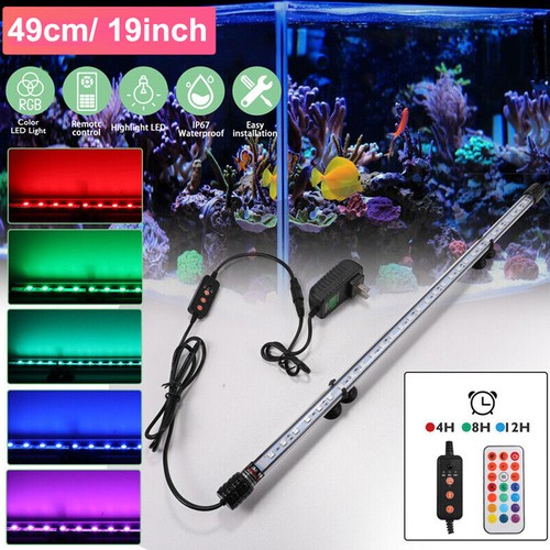 Aquarium underwater fish tank - aquarium,